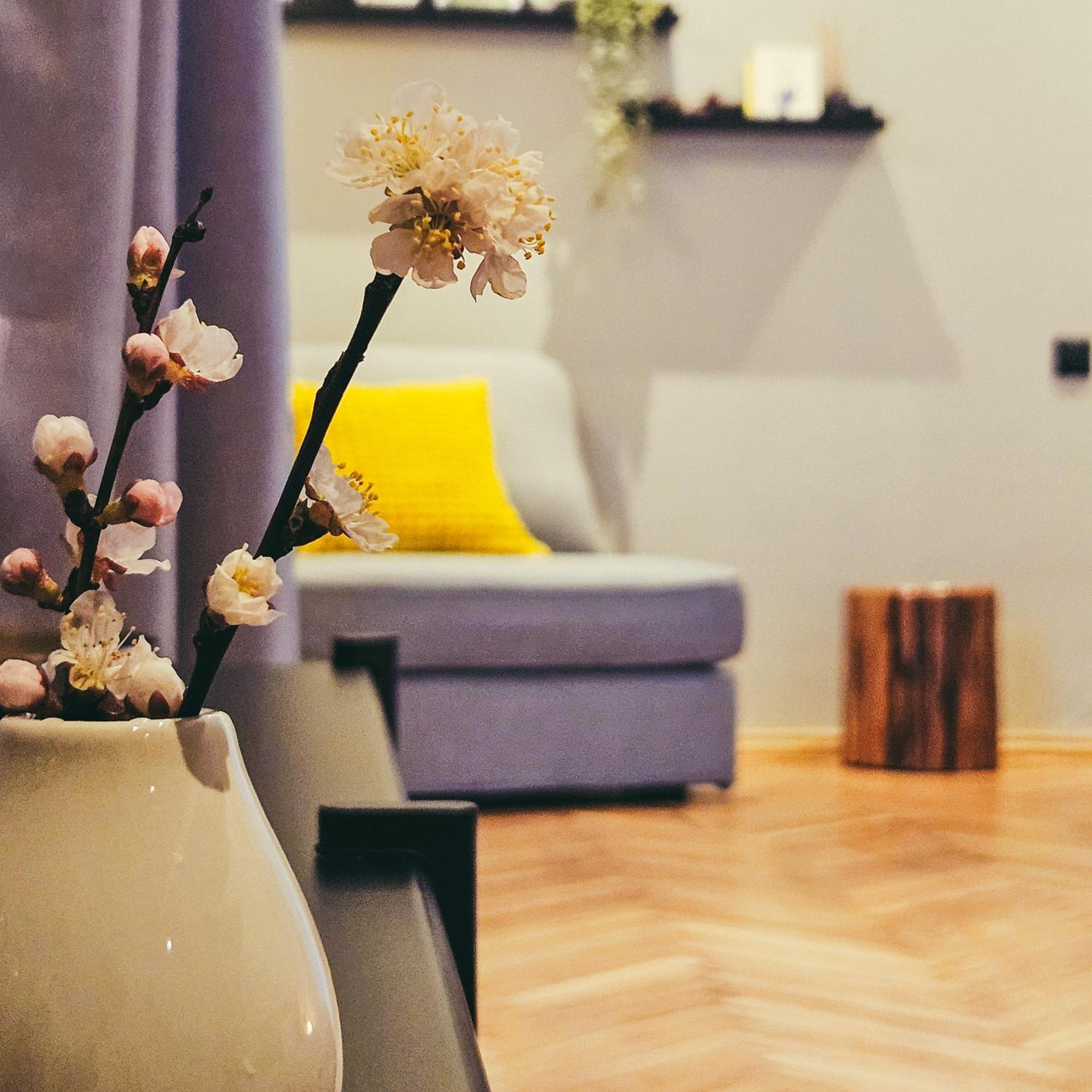 Paulas Room. Ryga Zewnętrze zdjęcie